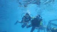 IMG_0129.jpg